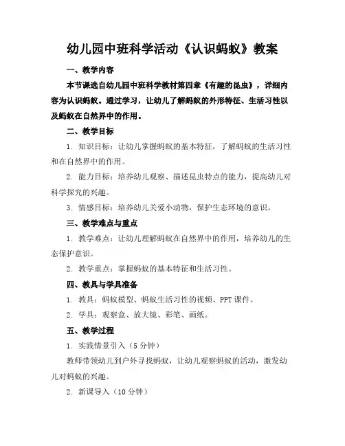 幼儿园中班科学活动《认识蚂蚁》教案