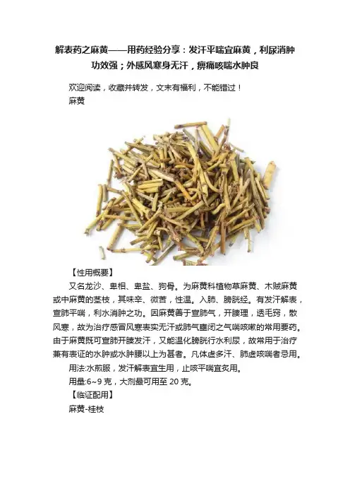 解表药之麻黄——用药经验分享：发汗平喘宜麻黄，利尿消肿功效强；外感风寒身无汗，痹痛咳喘水肿良