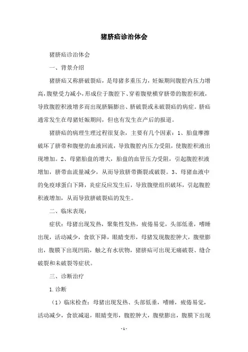 猪脐疝诊治体会
