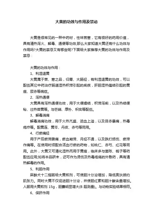 大黄的功效与作用及禁忌