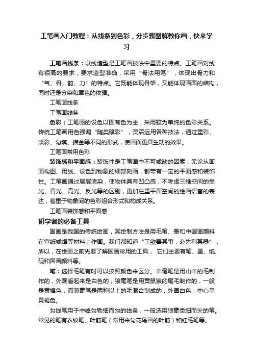 工笔画入门教程：从线条到色彩，分步骤图解教你画，快来学习