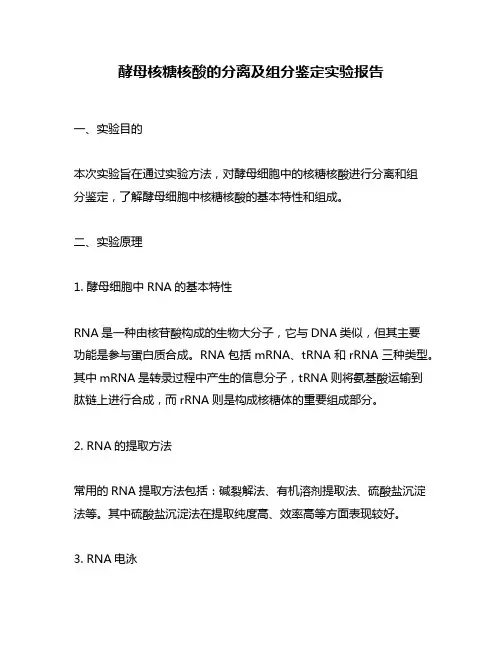 酵母核糖核酸的分离及组分鉴定实验报告