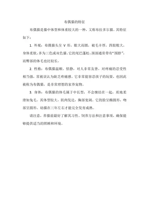 布偶猫的特征