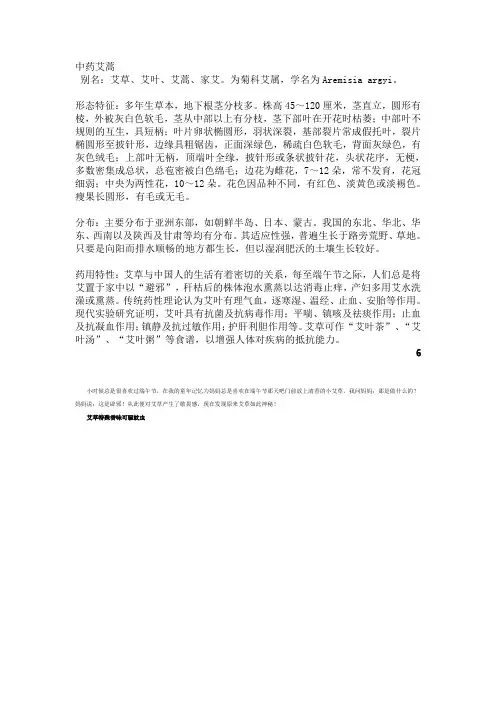中药艾蒿