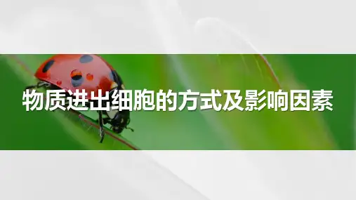 物质进出细胞的方式及影响因素-高考生物复习