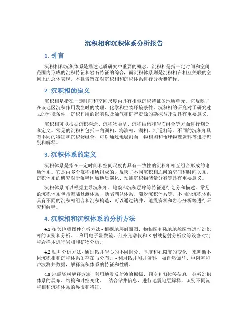 沉积相和沉积体系分析报告