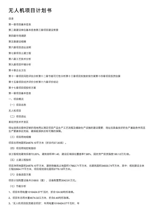 无人机项目计划书