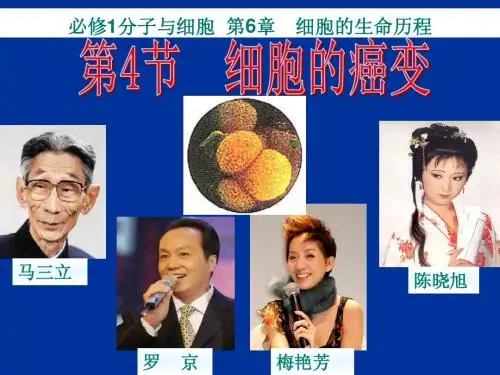 2015人教版高中生物必修一第六章第四节  细胞癌变(共19张PPT)