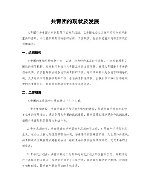 共青团的现状及发展