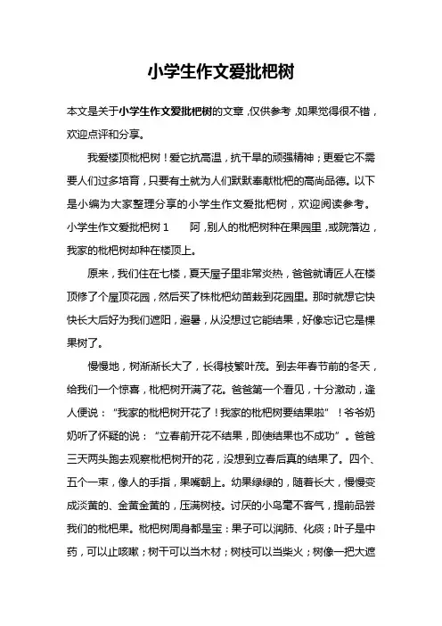 小学生作文爱批杷树