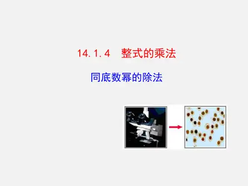 14.1.4  整式的乘法 第4课时优秀课件