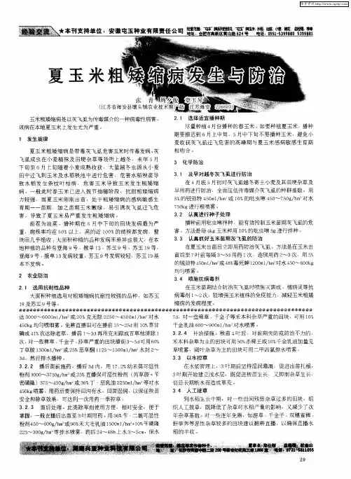 夏玉米粗矮缩病发生与防治