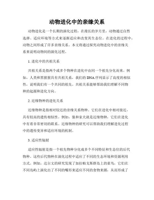 动物进化中的亲缘关系