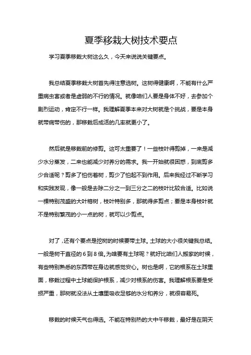 夏季移栽大树技术要点