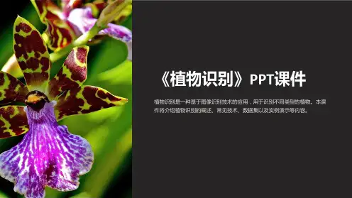 《植物识别》课件