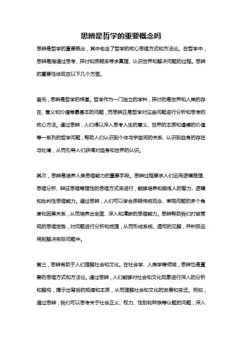 思辨是哲学的重要概念吗
