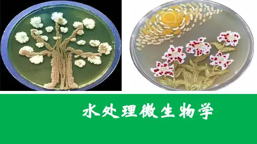微生物的生态