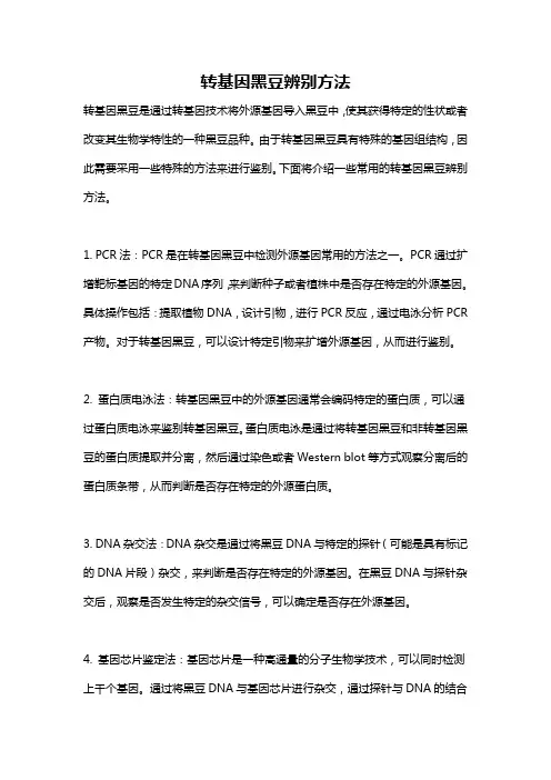 转基因黑豆辨别方法