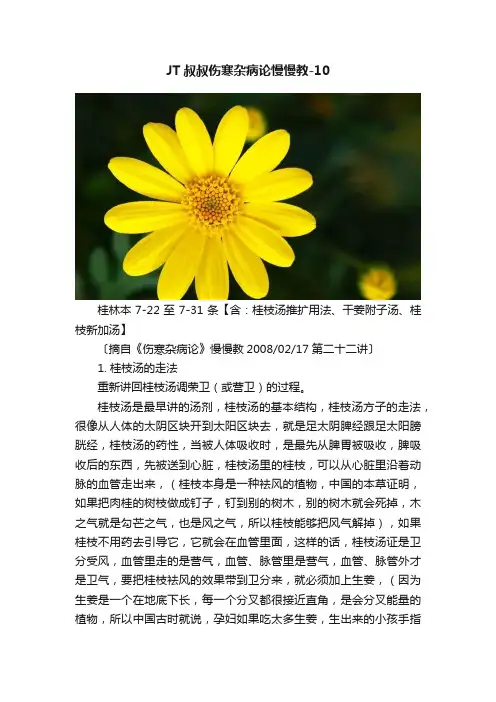 JT叔叔伤寒杂病论慢慢教-10