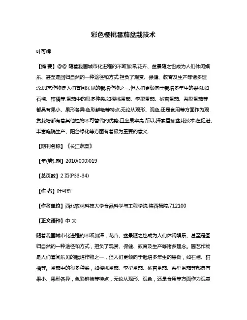 彩色樱桃番茄盆栽技术
