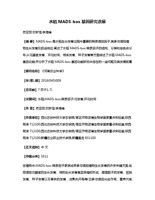 水稻MADS-box基因研究进展
