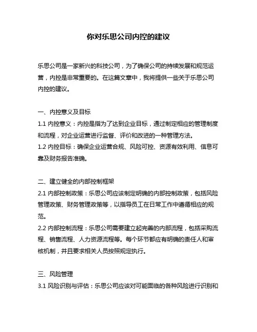 你对乐思公司内控的建议