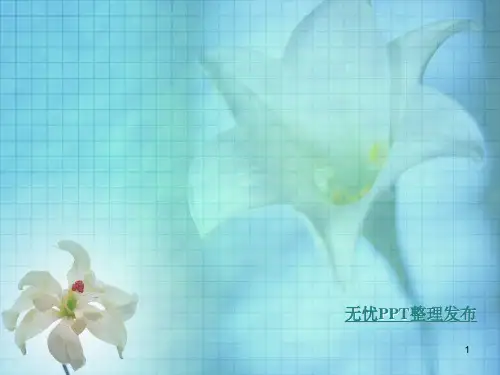第七章公司重组与金融决策PPT课件
