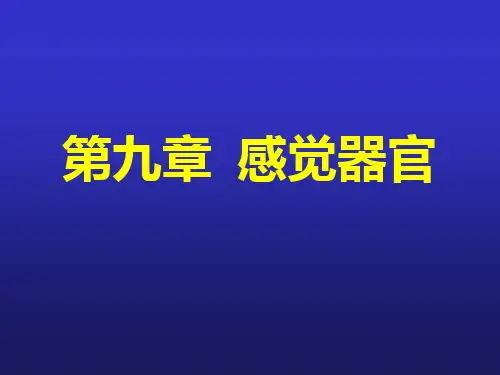 第九章 感觉器官