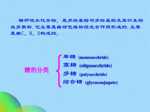 糖酵解作用(共67张PPT)
