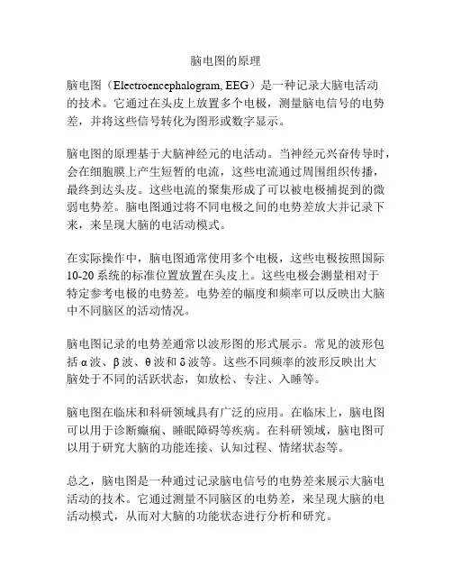 脑电图的原理