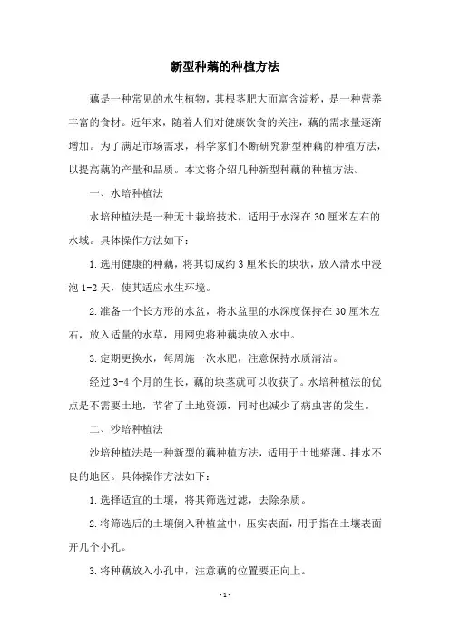 新型种藕的种植方法