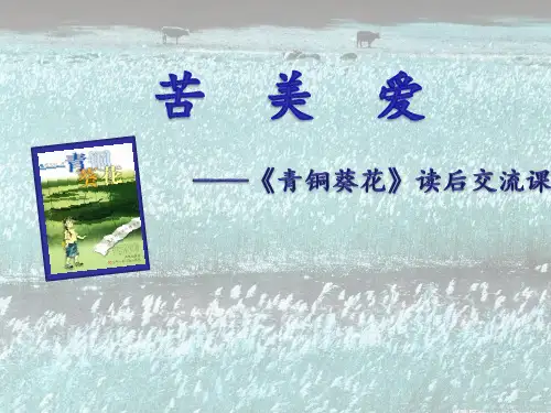 青铜葵花课件