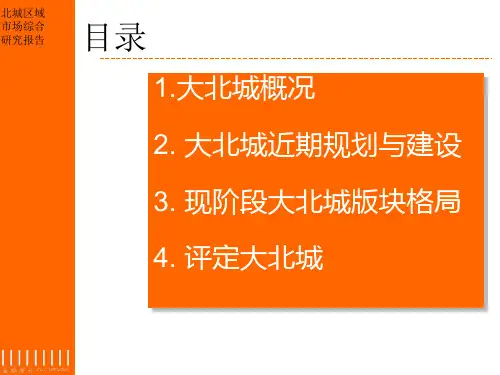 精品资料-2009年长沙大北城市场综合研究报告