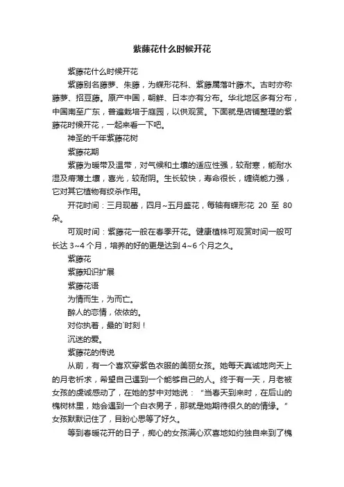 紫藤花什么时候开花
