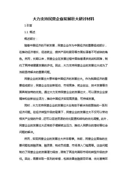 大力支持民营企业发展壮大研讨材料