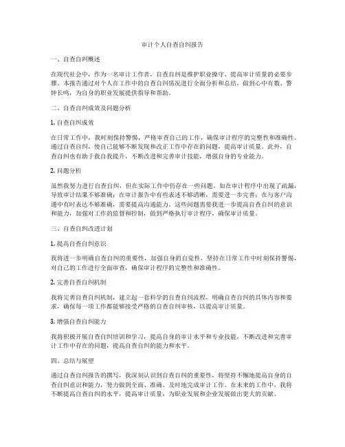 审计个人自查自纠报告
