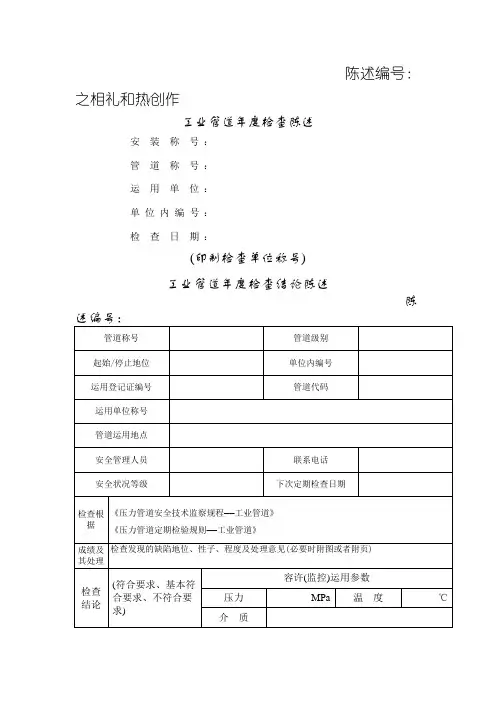工业管道年度检查报告