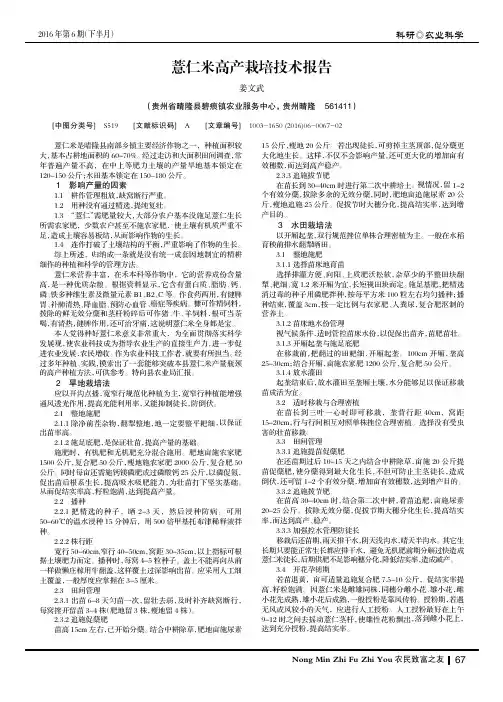 薏仁米高产栽培技术报告
