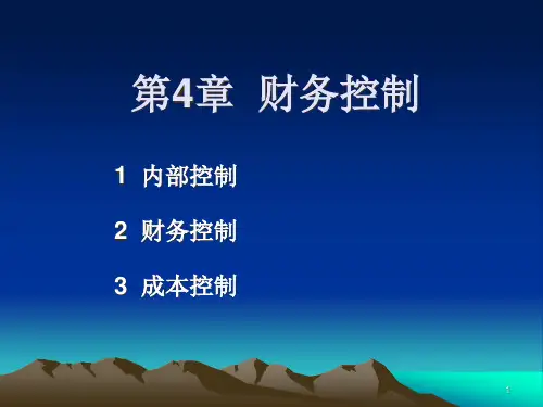 财务控制概述(PPT64页).pptx