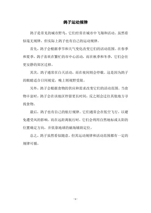 鸽子运动规律