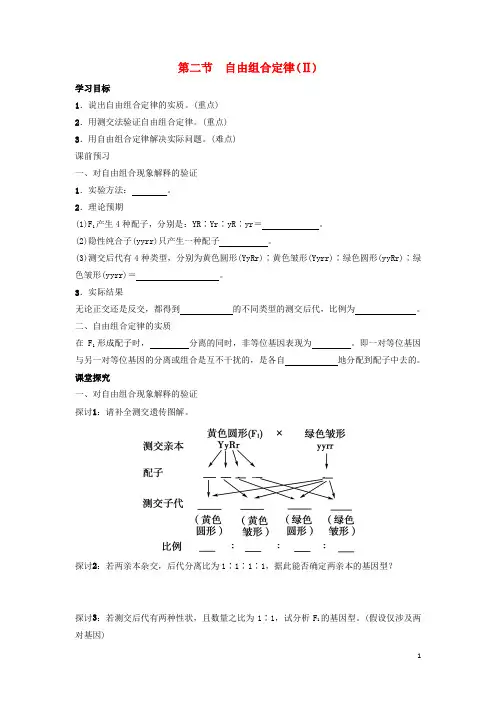 高中生物 第一章 第二节 自由组合定律(Ⅱ)学案 浙科版必修2