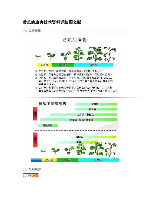 黄瓜病虫害技术详细图文版