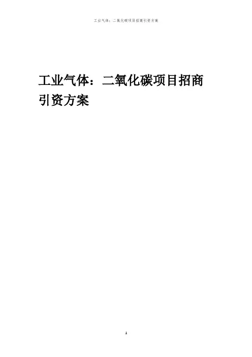 工业气体：二氧化碳项目招商引资方案
