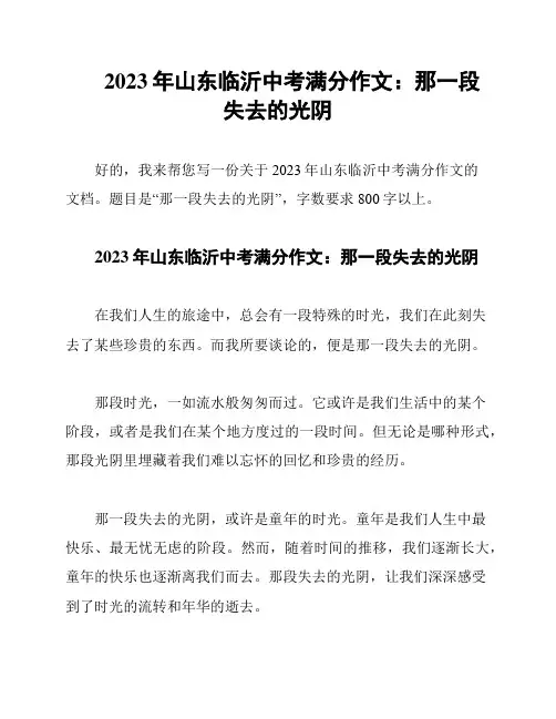 2023年山东临沂中考满分作文：那一段失去的光阴
