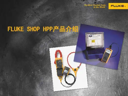 福禄克高端手持表介绍