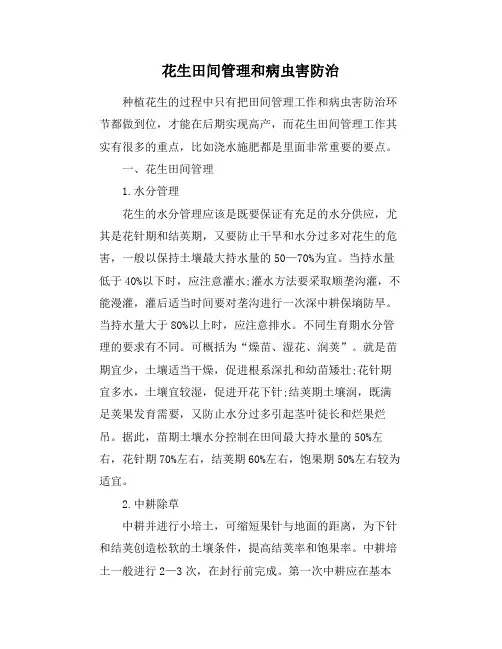 花生田间管理和病虫害防治