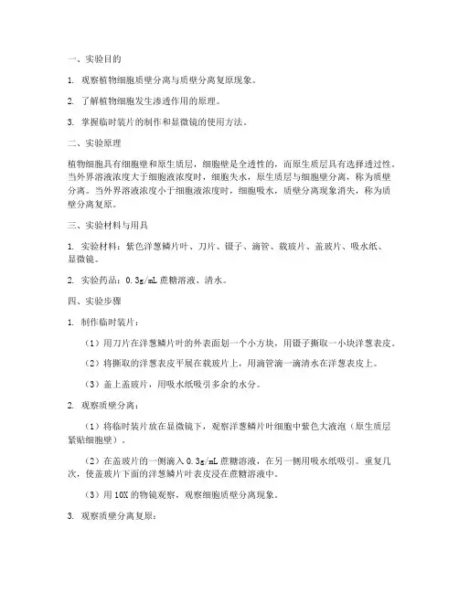 质壁分离实验报告单