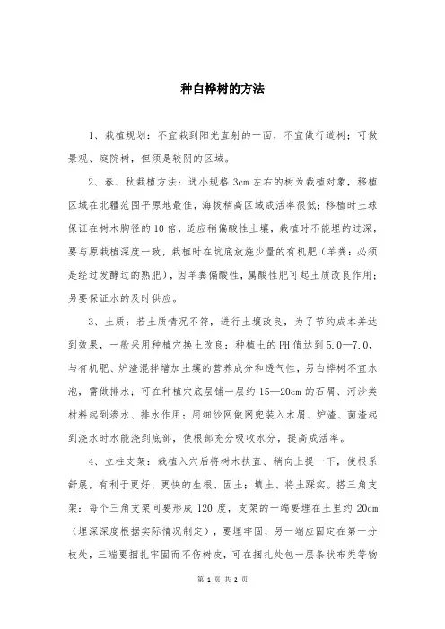 种白桦树的方法