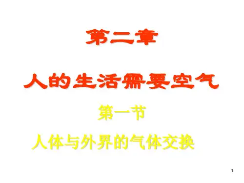 人体与外界的气体交换PPT幻灯片课件