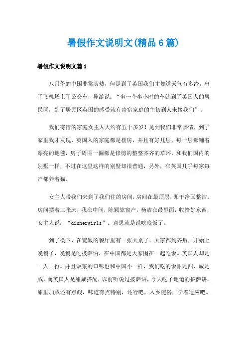 暑假作文说明文(精品6篇)